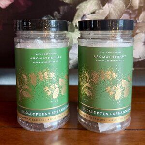 NEW 2-Pc Aromatherapy Eucalyptus+Spearmint Shower Steamers Bath & Body Works